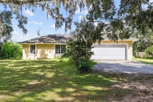 17452 US HIGHWAY 301, DADE CITY, FL 33523 - MLS#MFRTB8436718