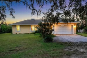 17452 US HIGHWAY 301, DADE CITY, FL 33523 - MLS#MFRTB8436718