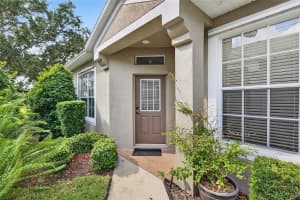 5717 HERONPARK PLACE, LITHIA, FL 33547 - MLS#MFRTB8436733