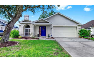 28422 TALL GRASS DRIVE, WESLEY CHAPEL, FL 33543 - MLS#MFRTB8436740
