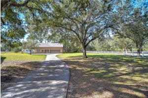 8345 SHENANDOAH RUN, WESLEY CHAPEL, FL 33544 - MLS#MFRTB8436749