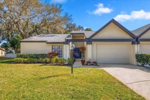 3497 BIRCHWOOD COURT, PALM HARBOR, FL 34684 - MLS#MFRTB8436787