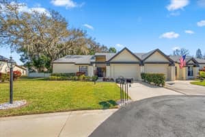 3497 BIRCHWOOD COURT, PALM HARBOR, FL 34684 - MLS#MFRTB8436787