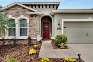 11135 Spring Point Cir, RIVERVIEW 11135 Spring Point Cir, RIVERVIEW
