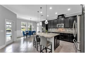 11831 CROSS VINE DRIVE, RIVERVIEW, FL 33579 - MLS#MFRTB8436835