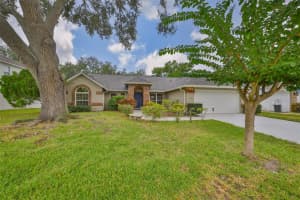 7412 MINT JULEP DRIVE, RIVERVIEW, FL 33578 - MLS#MFRTB8436869
