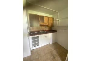 1047 JUNGLE STREET, LAKELAND, FL 33801 - MLS#MFRTB8436887