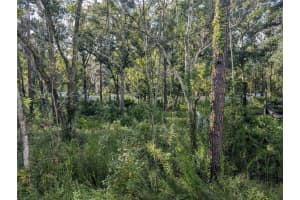 0000 TULANE STREET, NEW PORT RICHEY, FL 34653 - MLS#MFRTB8436894