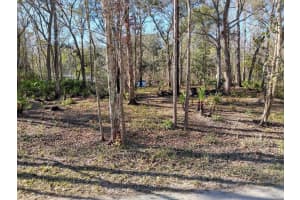 0000 TULANE STREET, NEW PORT RICHEY, FL 34653 - MLS#MFRTB8436894