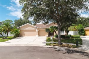 9020 RIVER ROAD, TAMPA, FL 33635 - MLS#MFRTB8436908