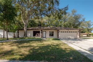 11014 CINDERLANE PLACE, TEMPLE TERRACE, FL 33617 - MLS#MFRTB8436913