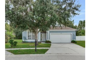 17433 LAWN ORCHID LOOP, LAND O LAKES, FL 34638 - MLS#MFRTB8436943