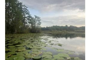 1135 JACKADEE POINT, INVERNESS, FL 34453 - MLS#MFRTB8436945