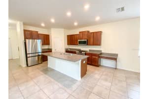 21046 PASSIVE PORCH DRIVE, LAND O LAKES, FL 34637 - MLS#MFRTB8436950