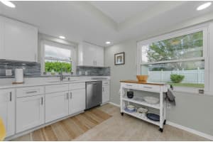 1525 RUTH ROAD, DUNEDIN, FL 34698 - MLS#MFRTB8436961