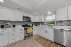 1525 RUTH ROAD, DUNEDIN, FL 34698 - MLS#MFRTB8436961