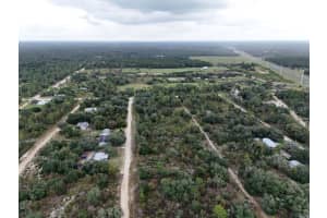 NE 62ND ST, WILLISTON, FL 32696 - MLS#MFRTB8436970