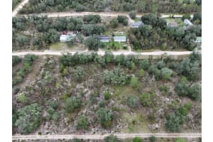 NE 62ND ST, WILLISTON, FL 32696 - MLS#MFRTB8436970