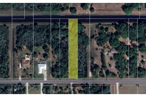 QUINELLA ST, ORLANDO, FL 32833 - MLS#MFRTB8436993
