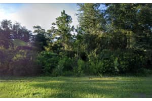 QUINELLA ST, ORLANDO, FL 32833 - MLS#MFRTB8436993