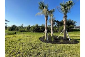 18918 INDIAN ROCK PLACE, LAKEWOOD RANCH, FL 34211 - MLS#MFRTB8436995