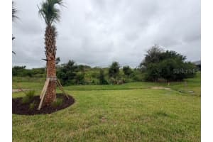18928 INDIAN ROCK PLACE, LAKEWOOD RANCH, FL 34211 - MLS#MFRTB8437001