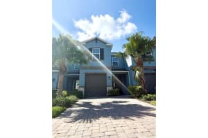 3228 Painted Blossom Ct, LUTZ