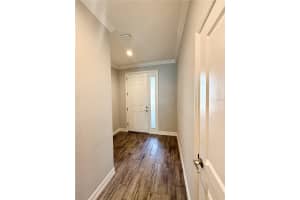 3228 PAINTED BLOSSOM COURT, LUTZ, FL 33558 - MLS#MFRTB8437022