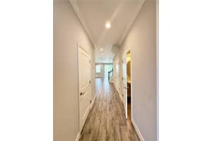 3228 PAINTED BLOSSOM COURT, LUTZ, FL 33558 - MLS#MFRTB8437022