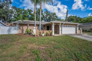 2661 KNOLL STREET, PALM HARBOR, FL 34683 - MLS#MFRTB8437036