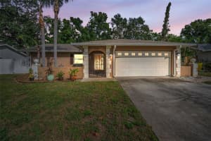 2661 KNOLL STREET, PALM HARBOR, FL 34683 - MLS#MFRTB8437036