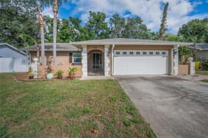 2661 KNOLL STREET, PALM HARBOR, FL 34683 - MLS#MFRTB8437036
