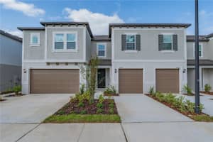 10834 FOWLERS BLUFF CT, TAMPA BLUFF, TAMPA, FL 33647 - MLS#MFRTB8437051