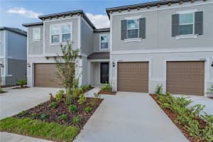10834 FOWLERS BLUFF CT, TAMPA BLUFF, TAMPA, FL 33647 - MLS#MFRTB8437051