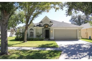 15431 LAKE BELLA VISTA DRIVE, TAMPA, FL 33625 - MLS#MFRTB8437057