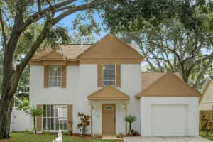 4643 CABBAGE PALM DRIVE, VALRICO, FL 33596 - MLS#MFRTB8437097
