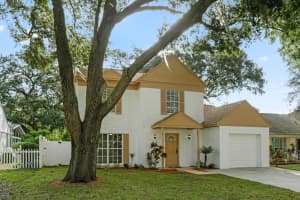 4643 CABBAGE PALM DRIVE, VALRICO, FL 33596 - MLS#MFRTB8437097