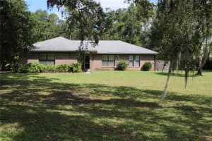 14204 WALDEN SHEFFIELD ROAD, DOVER, FL 33527 - MLS#MFRTB8437120