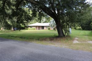 14204 WALDEN SHEFFIELD ROAD, DOVER, FL 33527 - MLS#MFRTB8437120