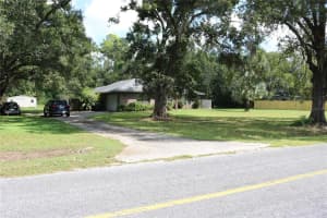 14204 WALDEN SHEFFIELD ROAD, DOVER, FL 33527 - MLS#MFRTB8437120
