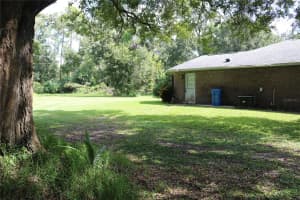 14204 WALDEN SHEFFIELD ROAD, DOVER, FL 33527 - MLS#MFRTB8437120
