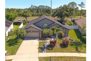 18505 AVOCET DRIVE, LUTZ, FL 33558 - MLS#MFRTB8437130