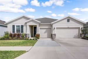 13016 WILLOW GROVE DRIVE, RIVERVIEW, FL 33579 - MLS#MFRTB8437134