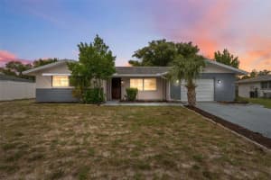 10315 PASTEL LANE, PORT RICHEY, FL 34668 - MLS#MFRTB8437136