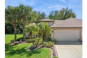 10436 CHATUGE DRIVE, SAN ANTONIO, FL 33576 - MLS#MFRTB8437137