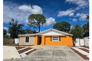 7517 Brookhaven Ct, TAMPA