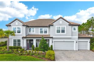 7135 Graybrook Dr, WESLEY CHAPEL