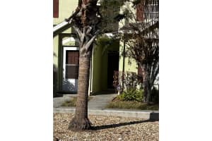 6023 OSPREY LAKE CIRCLE, RIVERVIEW, FL 33578 - MLS#MFRTB8437209