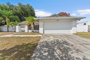 6821 ROSEMARY DRIVE, TAMPA, FL 33625 - MLS#MFRTB8437227