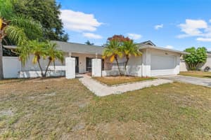 6821 ROSEMARY DRIVE, TAMPA, FL 33625 - MLS#MFRTB8437227